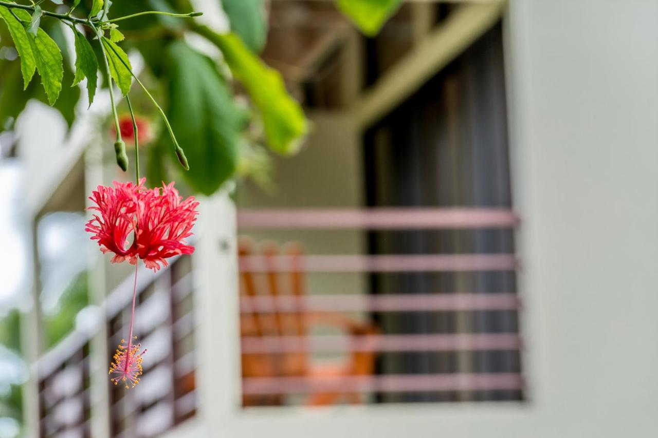 Sea Tower Hotel Puerto Viejo de Talamanca Экстерьер фото